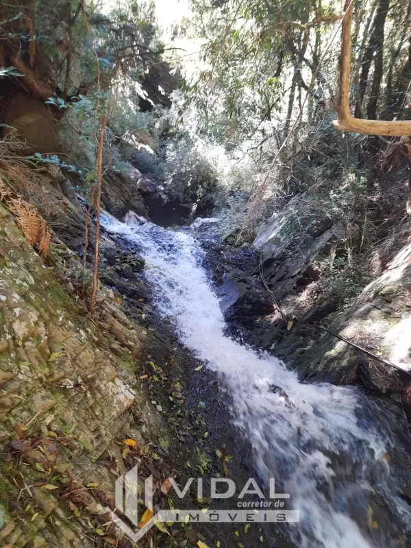 URUBICI